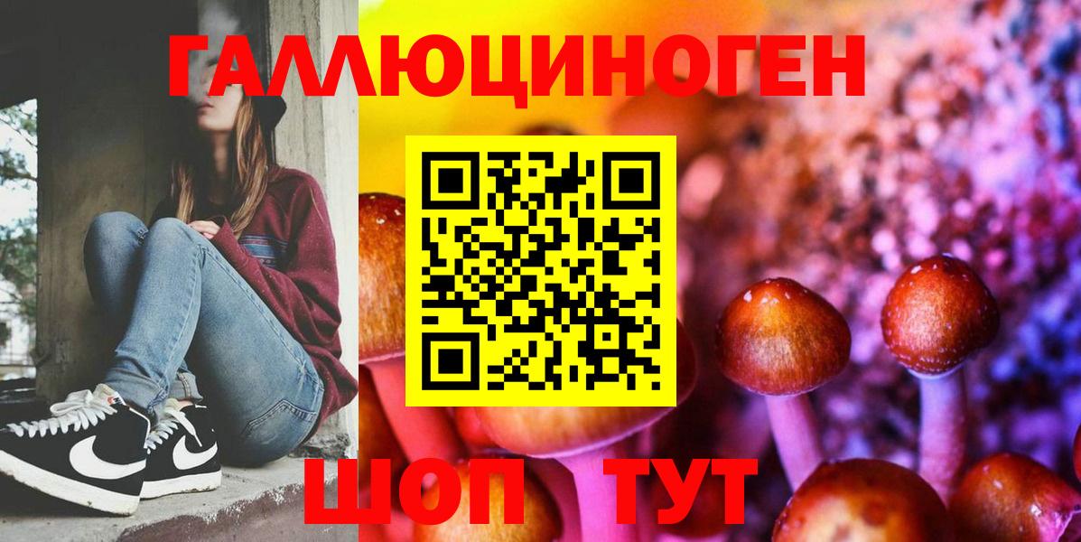 Псилоцибиновые грибы Psilocybe  Вход с VPN  Чусовой  Псилоцибиновые грибы прущие грибы 